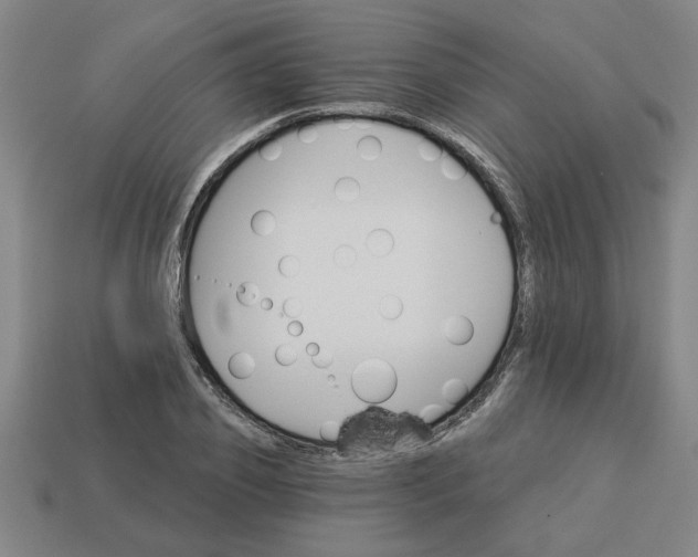 X0000113300933200910051039