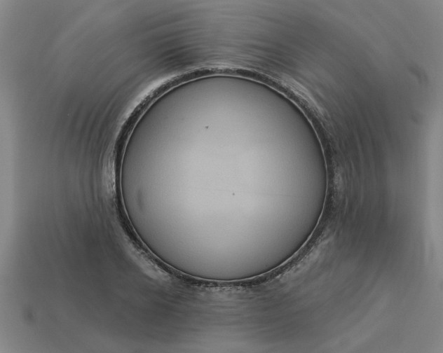 X0000113300934200910051039