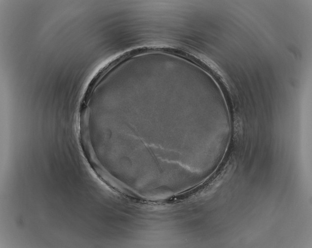 X0000113300935200910051039