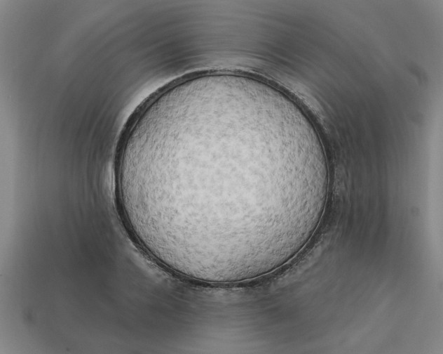 X0000113300936200910051039