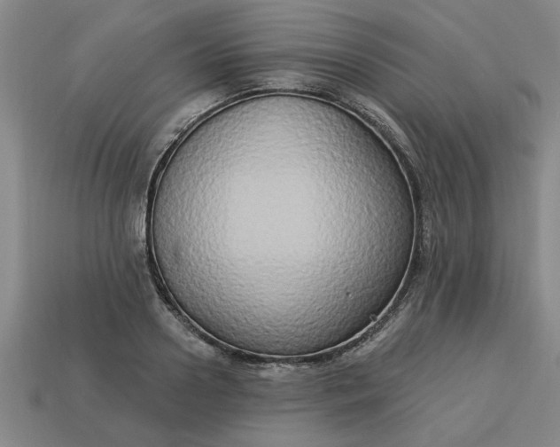 X0000113300938200910051039