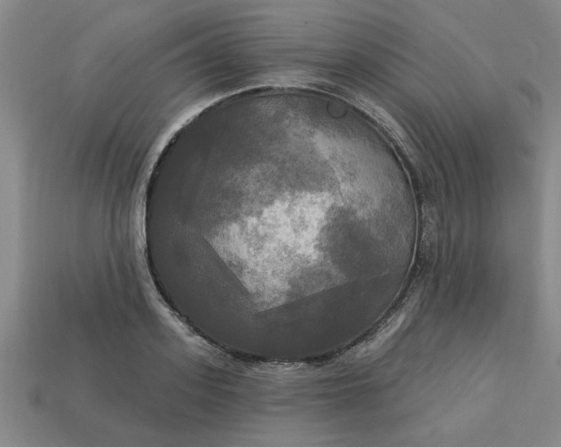 X0000113300939200910051039