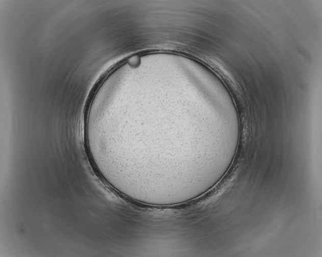 X0000113300940200910051039