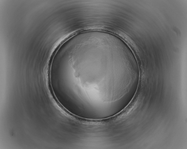 X0000113300941200910051039