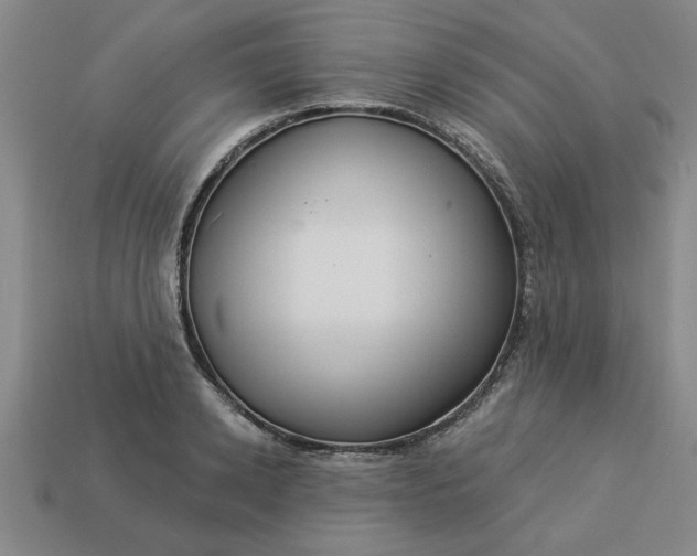 X0000113300942200910051039