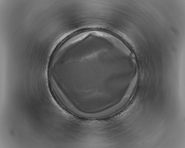 X0000113300943200910051039