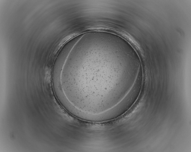 X0000113300945200910051039