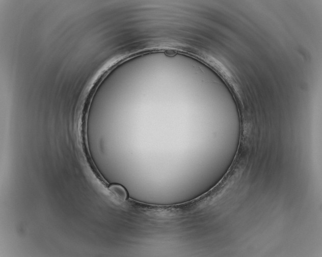 X0000113300947200910051039