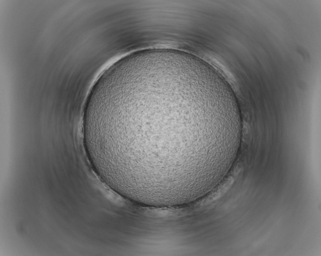 X0000113300948200910051039