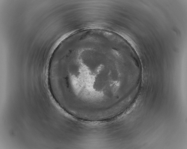 X0000113300949200910051039