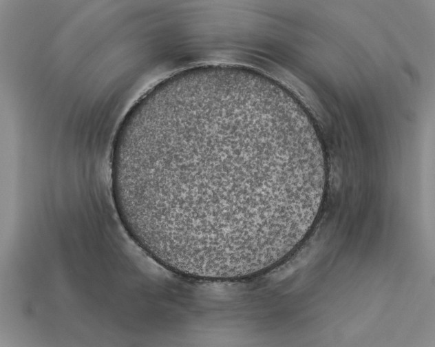 X0000113300950200910051039