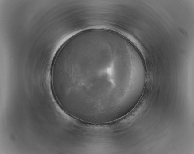 X0000113300951200910051039