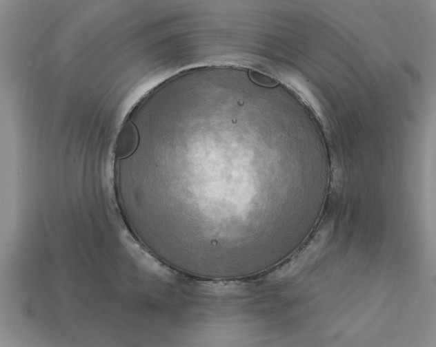 X0000113300952200910051039