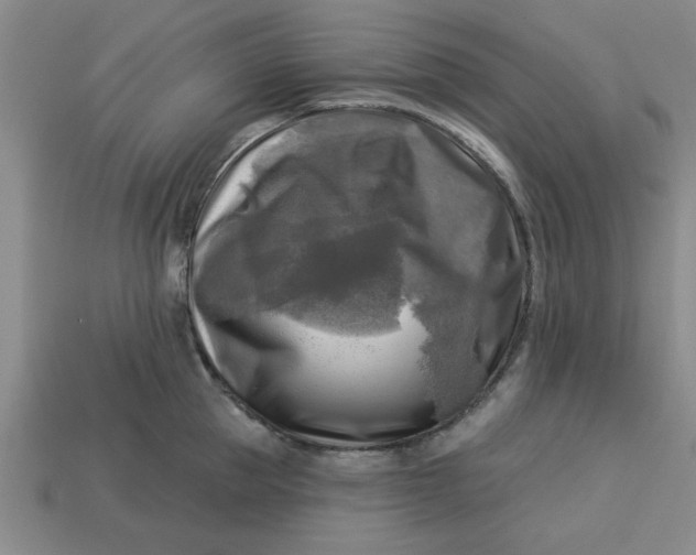 X0000113300953200910051039