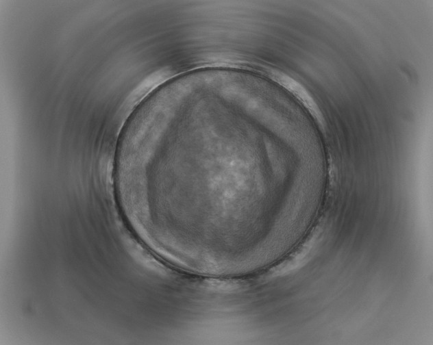 X0000113300954200910051039