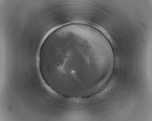 X0000113300955200910051039