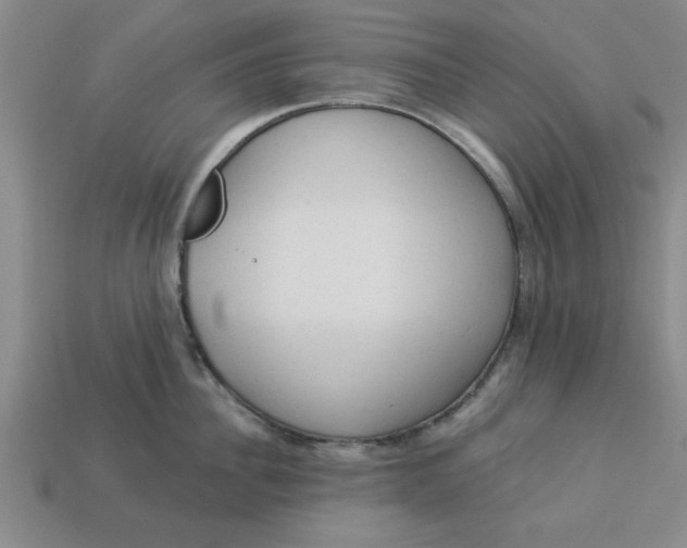 X0000113300956200910051039