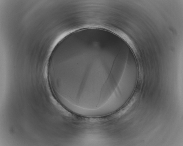 X0000113300958200910051039