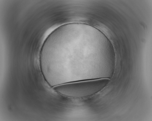 X0000113300960200910051039