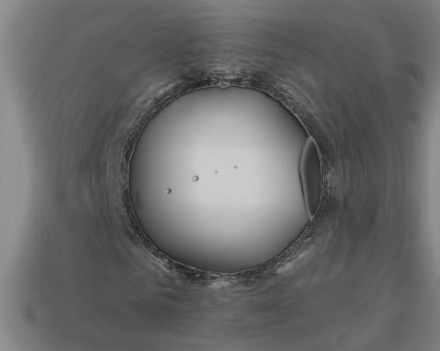 X0000113300961200910051039