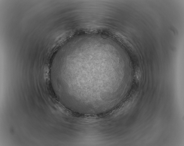 X0000113300964200910051039