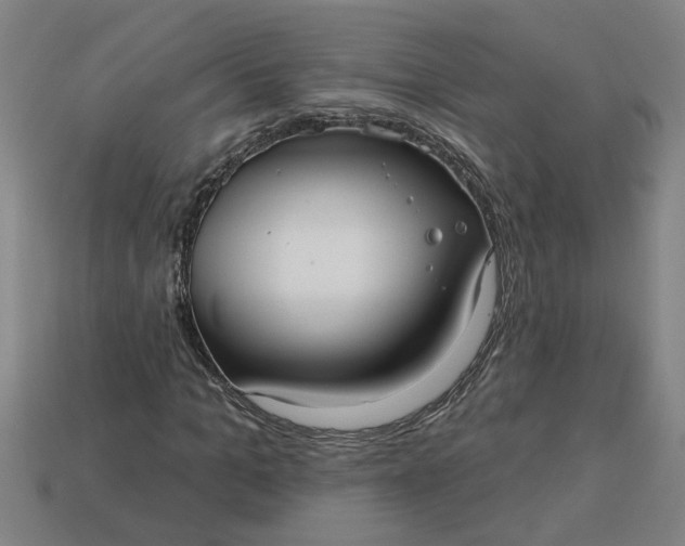 X0000113300965200910051039