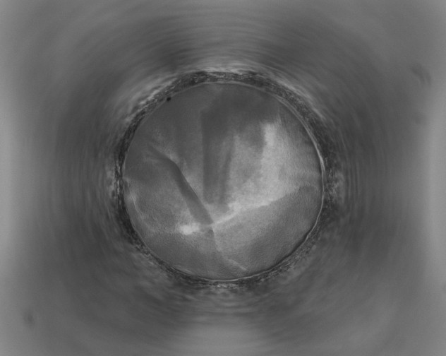 X0000113300966200910051039