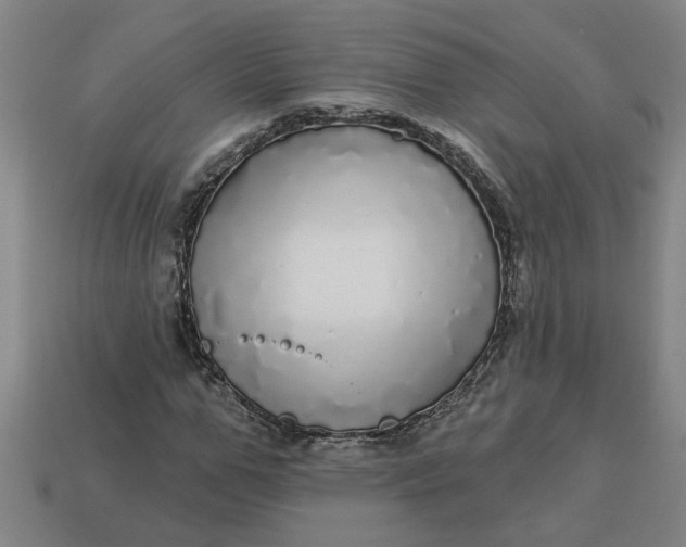 X0000113300967200910051039