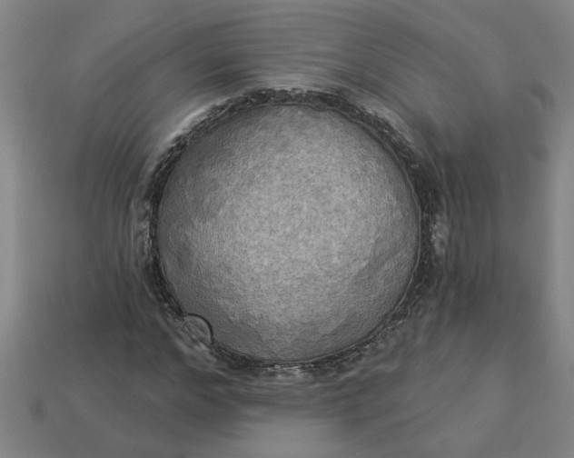 X0000113300968200910051039