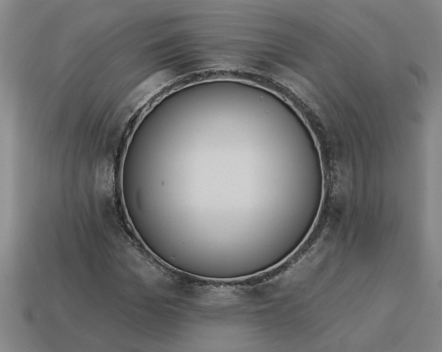 X0000113300969200910051039