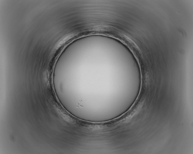 X0000113300970200910051039