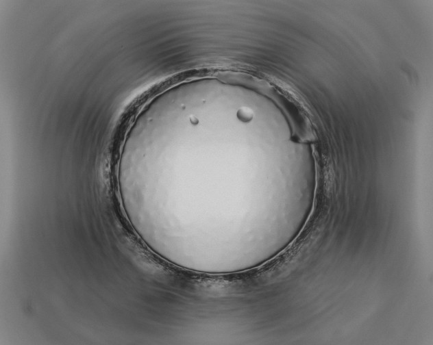 X0000113300971200910051039