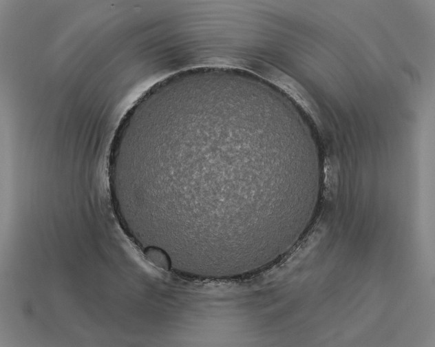 X0000113300972200910051038