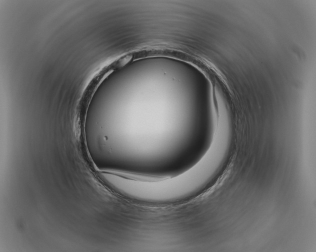 X0000113300973200910051038