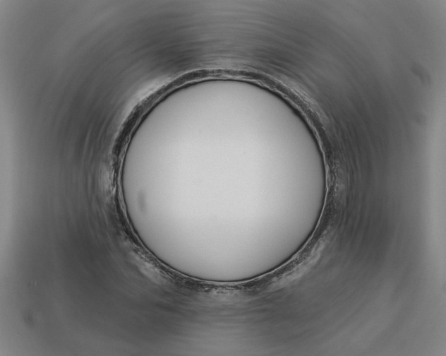 X0000113300974200910051038