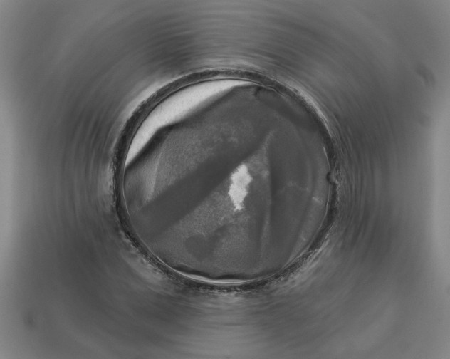 X0000113300975200910051038