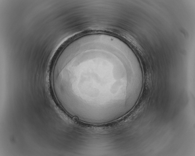 X0000113300976200910051038