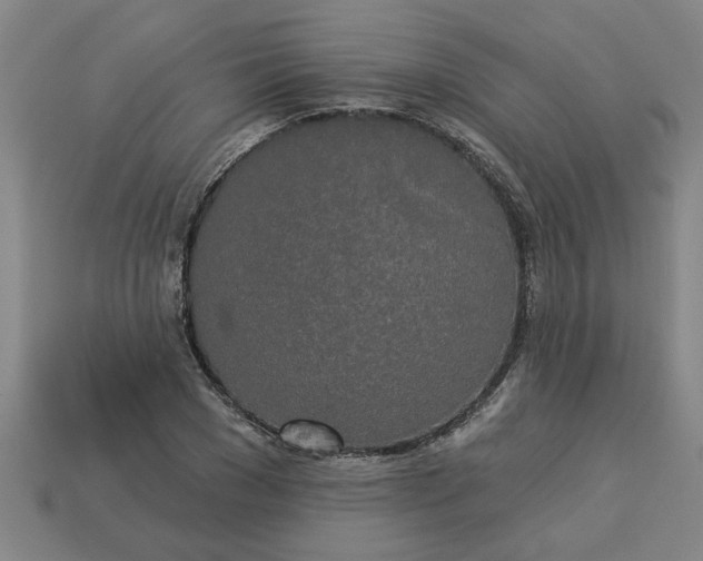 X0000113300977200910051038