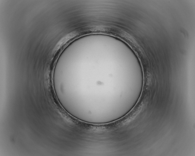 X0000113300978200910051038