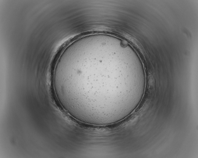 X0000113300979200910051038