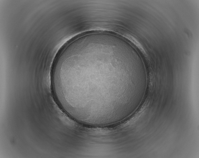 X0000113300980200910051038