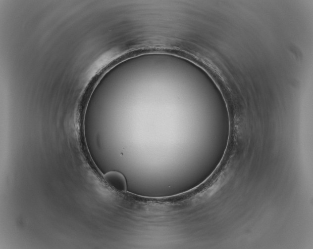 X0000113300981200910051038