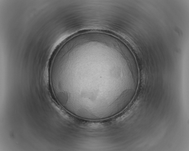 X0000113300982200910051038