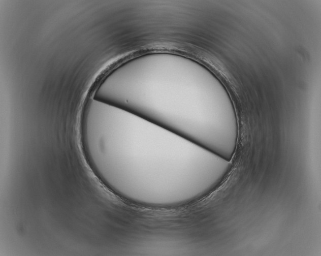 X0000113300984200910051038