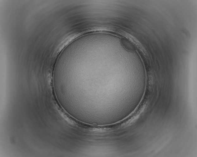 X0000113300985200910051038