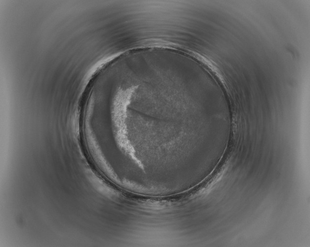 X0000113300987200910051038