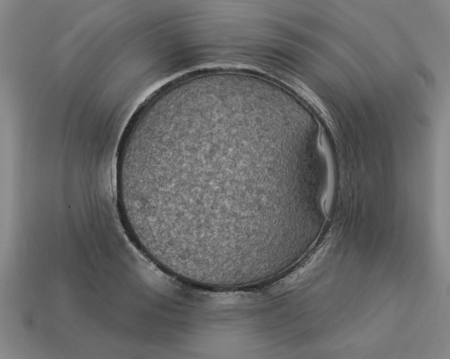 X0000113300988200910051038