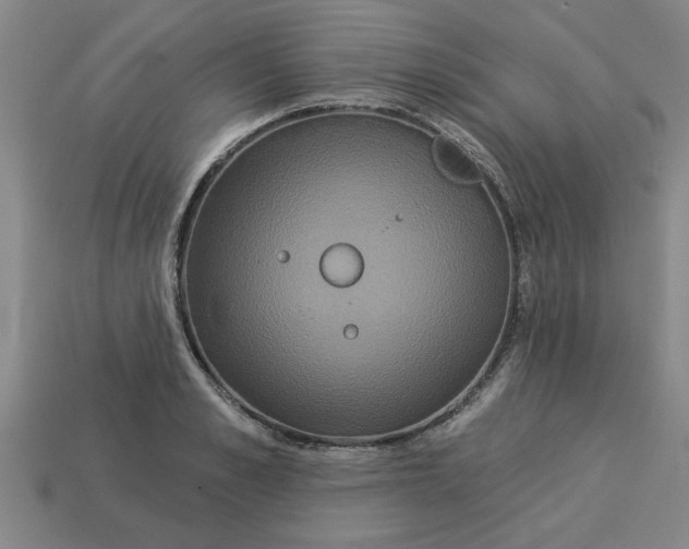 X0000113300989200910051038