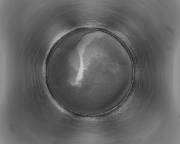 X0000113300990200910051038