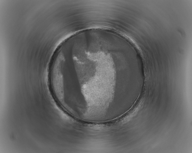 X0000113300991200910051038